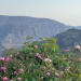 Abenteuer Oman