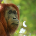 Abenteuer Wildnis