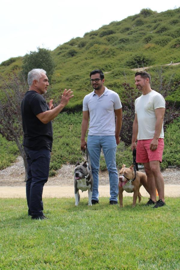 Bild 1 von 4: Cesar Millan (l.)