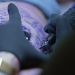 Tattoo auf Kreuzfahrt