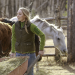 Heartland - Paradies für Pferde