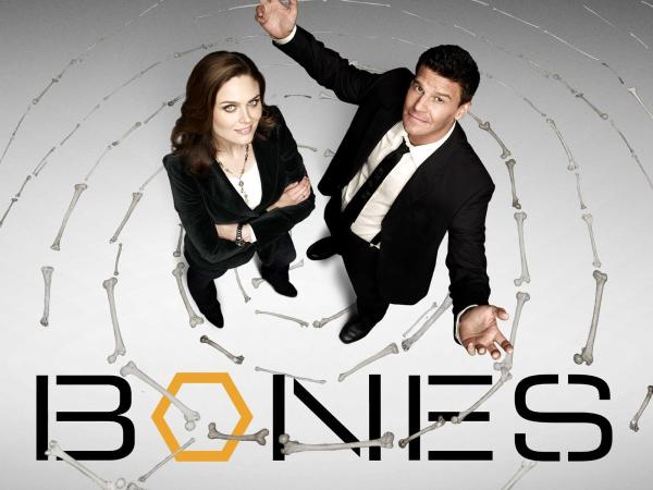 Bild 1 von 9: (5. Staffel) - Bones - Die Knochenjägerin - Artwork