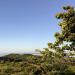 Ein Sommer auf Hiddensee (2)