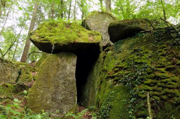 Bild 1 von 2: Im Wald von Coatmalouen erinnern Steine und Pfade an den erbitterten Kampf, den junge Bretonen dort einst führten. Einer von ihnen hielt das Geschehen mit der Kamera fest und sollte Karriere in der französischen Kinoszene machen ?