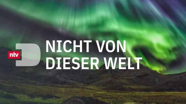 Bild 1 von 1: 