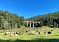 Länder-Menschen-Abenteuer