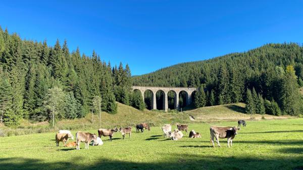Bild 1 von 5: Das ChmaroÅ¡ský Viadukt im Dörfchen Telgart ist ein technisches Denkmal und eines der beliebtesten Foto-Motive der Slowakei.