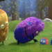 Kiwi & Strit