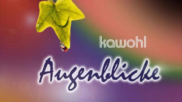 Bild 1 von 4: .