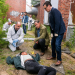 Bild 15