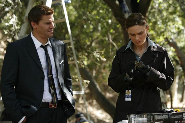 Bild 1 von 7: Booth (David Boreanaz, l.); Dr. Brennan (Emily Deschanel, r.)