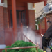 Chicago Fire
