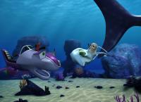 Tauch, Timmy, Tauch!