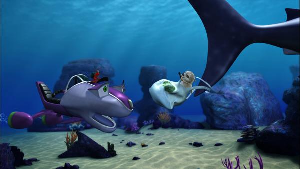 Bild 1 von 3: Otter Bobsie hat sich in einer Plastiktüte verfangen, die an einem Walhai festhängt. Skid versucht, seinem Freund zu helfen.