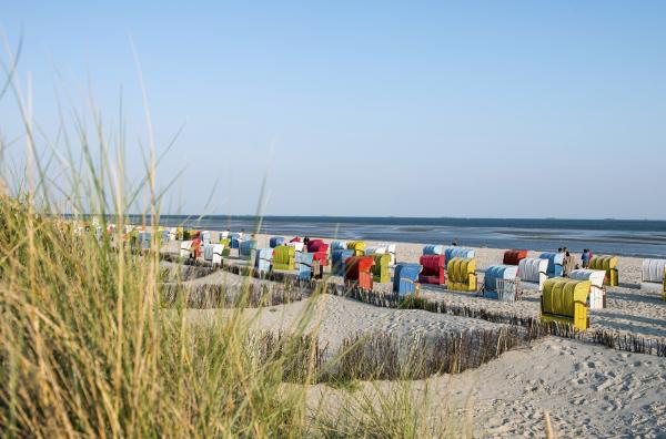 Bild 1 von 2: Strand in der Nähe des Ortes Nieblum.