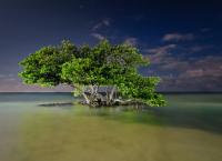 Amerikas Naturwunder: Geheimnisvolle Wasserwildnis