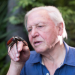 David Attenborough - Ein Leben für Planet Erde