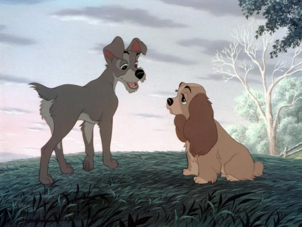 Bild 1 von 26: Auf den ersten Blick haben Susi, eine vornehme Cockerspaniel-Dame, und der Straßenhund Strolch nur wenig gemeinsam. Als Susis Besitzer aber ein Baby bekommen, fühlt diese sich allein gelassen und wendet sich Hilfe suchend an Strolch. Der zeigt ihr das abenteuerliche und ungebundene Leben auf der Straße. Im Hinterhof eines italienischen Restaurants kommt sich das Hundepaar schließlich näher. Doch auf Susi warten ein Zuhause und eine Familie, die sie beschützen mussâ?¦