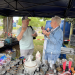 Bild 19