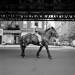 Finding Vivian Maier - Ein Leben in Kisten