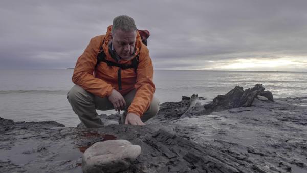 Bild 1 von 12: Am Strand von Low Hauxley, im Nordosten Englands, untersucht Colin Devey Lehm aus der letzten Eiszeit. Er blieb hier zurück, als sich die Gletscher vor zehntausend Jahren zurückzogen.