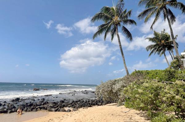 Bild 1 von 7: Kaua'i, auch ?Garteninsel? genannt, verfügt über die größte Biodiversität im Archipel.
