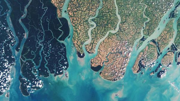 Bild 1 von 3: Diese Luftaufnahme der Sundarbans Mangrovenwälder in Bangladesh lieferte der Erdbeobachtungsatellit Sentinel-2A der ESA.