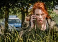 Nord bei Nordwest - Käpt'n Hook