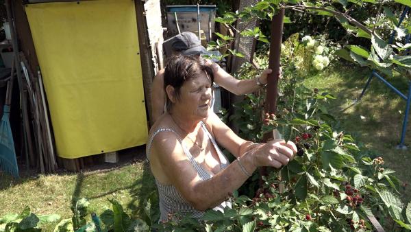 Bild 1 von 2: Elke, die Pflanzenflüsterin, ist mit genug Früchten versorgt. Dass es bei der Rentnerin so schön wächst und gedeiht, könnte an ihrem Faible liegen, mit Flora und Fauna zu sprechen.