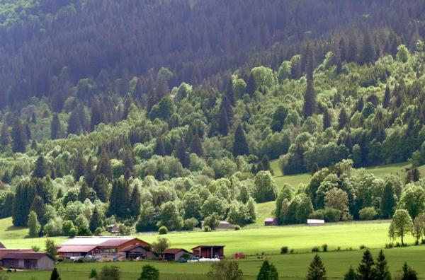 Bild 1 von 2: Die Malerin Marianne von Werefkin fand in München die Freiheit, neue Wege zu gehen und die von Männern dominierte Kunstszene zu revolutionieren.