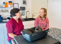 Nina und die Haustiere