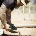 Australian Gold - Schatzsuche Down Under