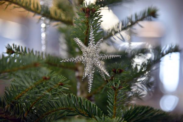 Bild 1 von 15: Christbaumschmuck Allersberg