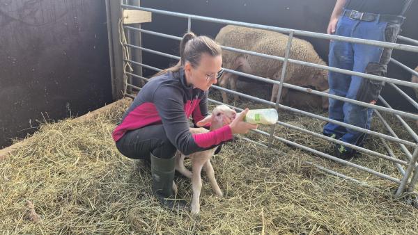 Bild 1 von 8: Michaela Grabherr füttert ein Lamm auf dem Schäflehof.