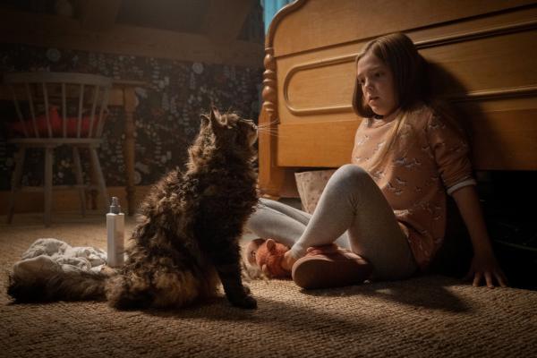 Bild 1 von 7: Jeté Laurence as Ellie in PET SEMATARY, from Paramount Pictures.