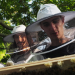 Paris - Hauptstadt der Bienen