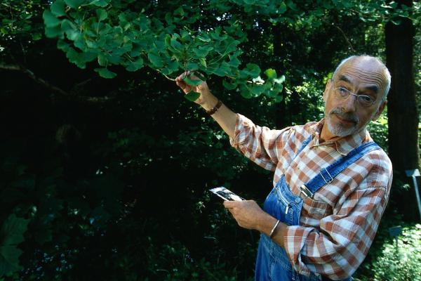 Bild 1 von 5: Peter (Peter Lustig) entdeckt einen Ginkgo. Vielleicht ist das ja der gesuchte Baum von Onkel John?