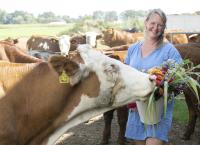 Land & lecker - Kulinarische Schätze