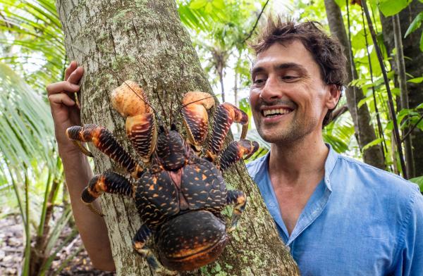 Bild 1 von 15: Der Palmendieb ist der größte landlebende Krebs der Welt. Vielerorts gilt er als Delikatesse, deshalb hat er vor allem auf abgelegenen tropischen Inseln überlebt. (Im Bild Uli Kunz)