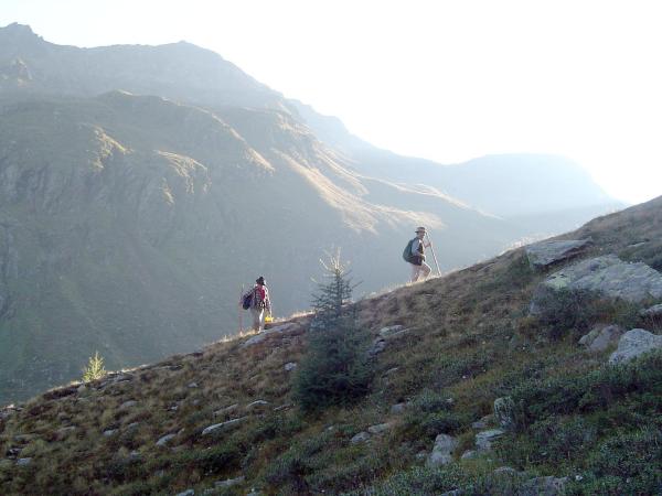 Bild 1 von 10: Im Bild: Josef Schett und Josef Haider am Weg zu den Schafen auf der Alm (Osttirol).