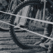 Speedway: Grand Prix in Riga