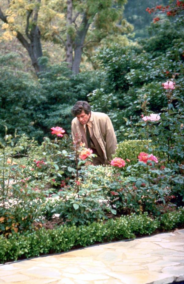 Bild 1 von 5: Im Bild: Peter Falk (Insp. Columbo).