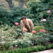 Columbo