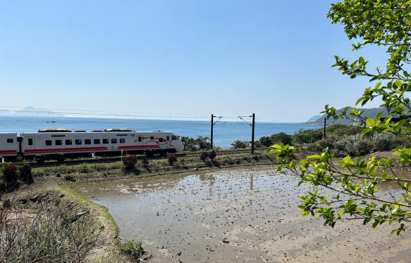 Bild 1 von 2: Bahn-Impression in Taiwan zwischen Reisfeld und Pazifik - nur wenige Kilometer verläuft die Bahnstrecke direkt am Meer.