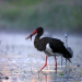 Abenteuer Wildnis