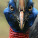 Tierische Superhelden