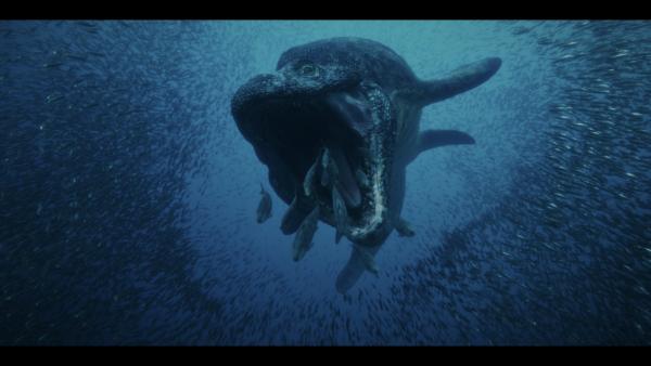 Bild 1 von 12: Gigantische Kiefer und ein muskelbepackter Körper machten den Mosasaurus zum Herrscher der Meere. Zwanzig Millionen Jahre lang bevölkerte er alle Weltmeere.