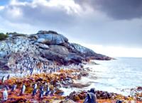 Wildes Neuseeland