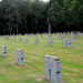 Die Schlacht im Hürtgenwald