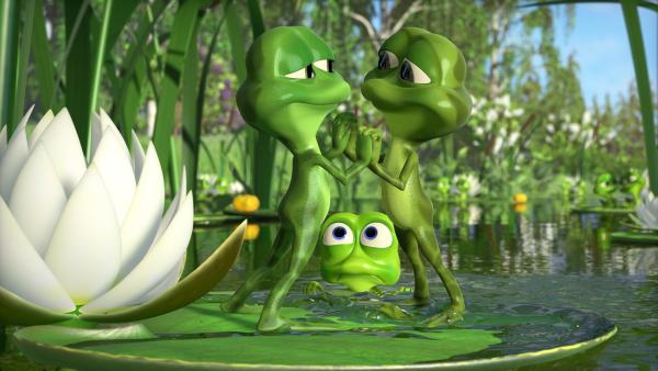 Bild 1 von 5: Am Teich herrscht Froschromantik.